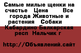 Самые милые щенки на счастье › Цена ­ 1 - Все города Животные и растения » Собаки   . Кабардино-Балкарская респ.,Нальчик г.